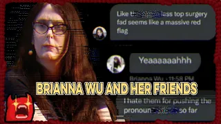 Hypocrisy, Slurs, and Betrayal - Brianna Wu's Failure to Lead