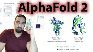 Google DeepMind's AlphaFold 2 explained! (Protein folding, AlphaFold 1, a glimpse into AlphaFold 2)