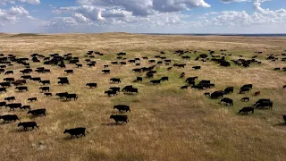 Sustainable Farming - America's Heartland