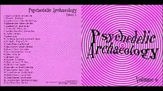Various ‎– U-Spaces: Psychedelic Archaeology Vol 6 :60s USA Garage Punk Beat Psych Music Compilation