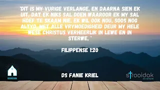 Filippense 1:20