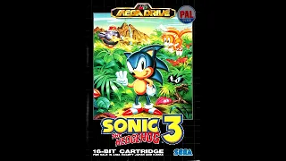Angel Island Zone Act 2 - Sonic the Hedgehog 3 OST 1994