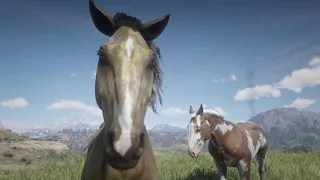 Spirit: Stallion of Cimmaron - I Will Always Return in RDR 2