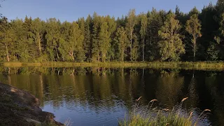Ночевки на природе в Швеции