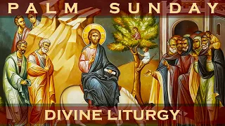 Palm Sunday & The Greek Orthodox Divine Liturgy of Saint John Chrysostom 04/29/2024