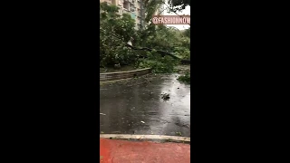 China Typhoon Mangkhut اعصار الصين