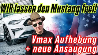 FORD MUSTANG GT VMAX AUFHEBUNG GEHT NICHT? / GEHT DOCH! / WIR GEBEN DEM MUSTANG DIE SPOREN