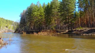 С Светлой Пасхой поздравляю ! Мира и добра ! Здоровья и счастья желаю !