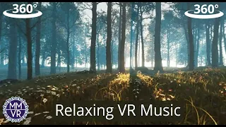 Relax In the Woods - Meditation Music for YouTube VR 360