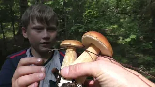 МАЛЫШ СЫЩИК! НАХОДИТ БЕЛЫЕ ГРИБЫ! Замечательный поход в лес по грибы!