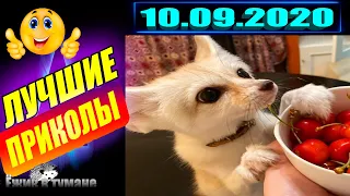 РЖАКА до Слез  BEST CUBE  Лучшие Видео из Инстаграм  BEST COUB  Видео Приколы  Отборные ПРИКОЛЫ