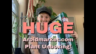 HUGE Aroidmarket.com Plant Unboxing and Review!