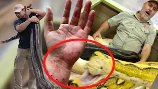 Moving Monster Snakes At The Reptile Zoo Gone Wrong 😱