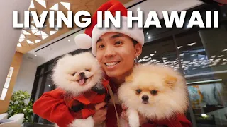 Day in my Life Living Alone in Hawaii