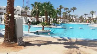 Шарм-эль-Шейх Royal holiday beach resort