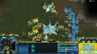 오늘 새벽에 나온 시청자250명이 대박이라고 난리난경기 Leto 스타팀플 헌터 Hunter TeamPlay StarCraft