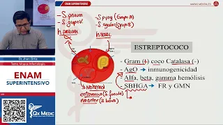 MAPAS MENTALES - BACTERIAS