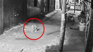 ghost playing with dogs caught on CCTV Camera | Top ghost video 2022