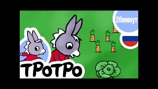 ТРОТРО - 🥕20 минут🥕 - Сборка #06