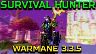 Hotwheels - Survival Hunter PvP 3.3.5 Warmane Wotlk Classic - Frostmourne Season 2