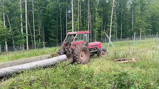 Schlüter 650 V im Forsteinsatz