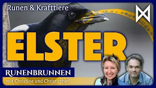 Runen & Krafttiere: DAGAZ und die Elster