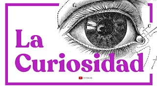 La Curiosidad 🦄