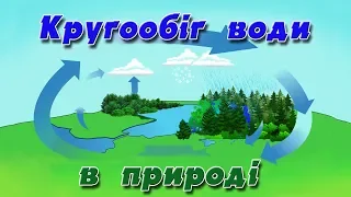 Кругообіг води в природі