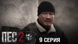 Сериал Пес - 2 сезон - 9 серия