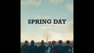 BTS SPRING DAY 1 HOUR NO ADS!! NO DISTRACTION!!