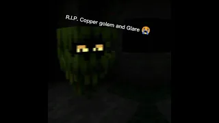 R.I.P. Copper golem and Glare 😭 #minecraft #coppergolem #glare #allay #allmyfriendaretoxic