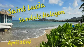 Sandals Halcyon Saint Lucia Full Resort Tour, 1P Room Tour.