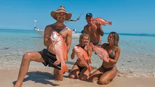 REEF ADDICTS - girls vs boys fishing challenge! CATCH AND COOK IN AUSTRALIAN PARADISE