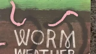 Worm Weather (By Jean Taft And illustrated Bye Matt Hunt )