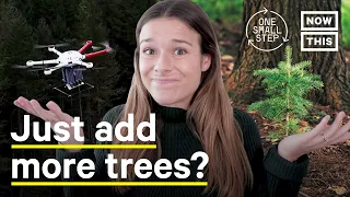 Will Planting Trees Save the Climate? | One Small Step