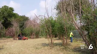 Morris St. complaints finally heard; City of Corpus Christi begins cleanup process