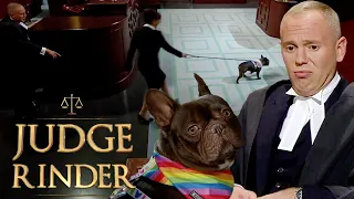 'Come Back!' Floor Destroying Dog Rejects Judge Rinder & Causes Chaos In Court | Judge Rinder