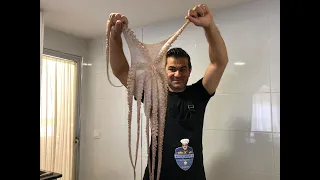 Reteta de CARACATITA 💛- Pulpo a la GALLEGA (caracatita in stil spaniol)