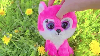 Beanie Boo Music Video Dandelions| 100 subscriber special✨