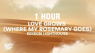 [1 HOUR] Love Grows (Where My Rosemary Goes) TikTok Song - Edison Lighthouse