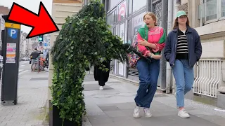 Ultimate Best of Bushman Prank Compilation!!! Insane Screams!!