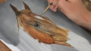 How to Paint a Horse | Acrylic painting tips