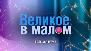 Великое в малом. Как клетка чинит свою ДНК