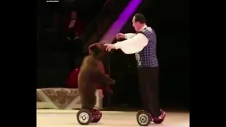 Teddy bear on a hoverboard in Russia| Мишка на гироскутере