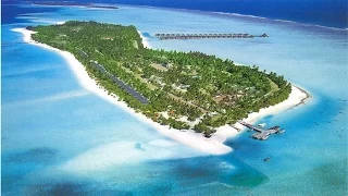 Обзор домика на Мальдивах Sun Island Resort