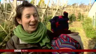 BBC News   Dutch chimps in Edinburgh Zoo learn to speak in Scottish accent