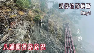 ⛰️馬博橫斷D1 | 八通關舊路2023最新路況！上山過年囉🧨