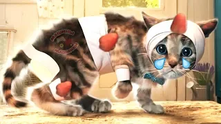 ПРИКЛЮЧЕНИЕ МАЛЕНЬКОГО КОТЕНКА мультфильм про котят для малышей Новый мультик для детей #ММ
