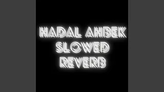 Hadal Ahbek Slowed Reverb (Remix)