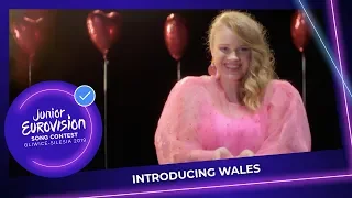 Introducing Erin Mai from Wales! 🏴󠁧󠁢󠁷󠁬󠁳󠁿 - Junior Eurovision 2019